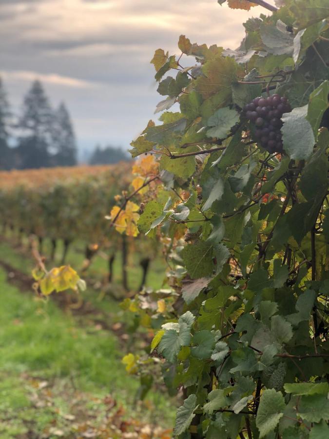 The Setting Inn Willamette Valley Newberg Eksteriør bilde
